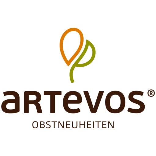 Kölle Bio Zwergaprikose 'Aprigold'®, Topf 7,5 Liter -Gartenmöbelgeschäft 048067 ARTEVOS Logo 107721