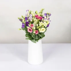 Gemischter Blumenbund 'Lisianthus' Inkl. Gratis Grußkarte -Gartenmöbelgeschäft 1015700001 Lisianthus Mix 10er Bund weiss blau rosa WS 2 94400