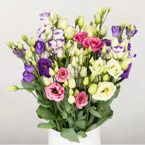 Gemischter Blumenbund 'Lisianthus' Inkl. Gratis Grußkarte -Gartenmöbelgeschäft 1015700001 Lisianthus Mix 10er Bund weiss blau rosa WS 2 d 100167