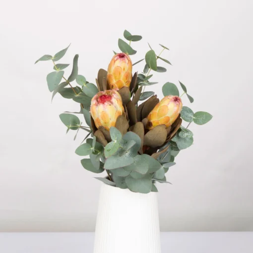 Blumenbund Protea & Eukalyptus, Inkl. Gratis Grußkarte -Gartenmöbelgeschäft 1025700019 Strauss Protea Grandiflora 1 1 101680