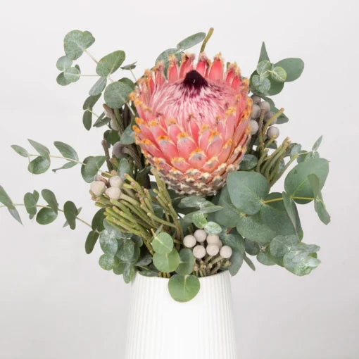 Blumenbund Protea Barbigera Mit Eukalyptus Und Brunia, Inkl. Gratis Grußkarte -Gartenmöbelgeschäft 1025700025 Strauss Protea Barbi Brun 1 101700