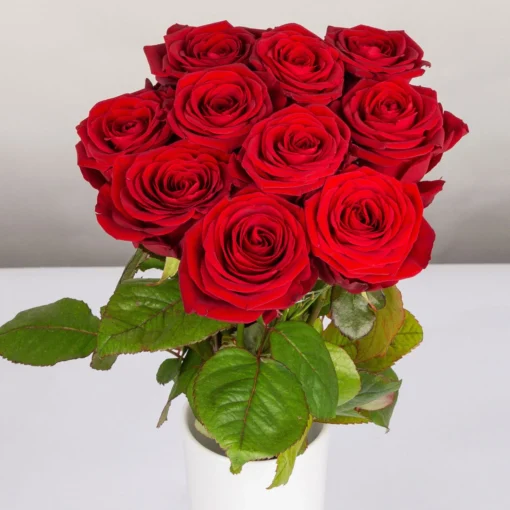 Blumenbund Mit Rosen 'Red Naomi', 10er-Bund, Rot, Inkl. Gratis Grußkarte -Gartenmöbelgeschäft 1045500002 Rose Red Naomi 10er Bund 60cm 2 1 d 100187