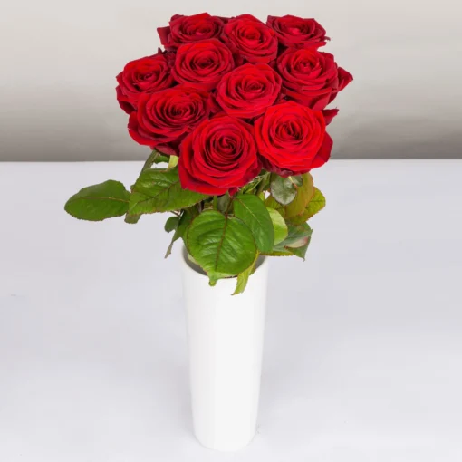 Blumenbund Mit Rosen 'Red Naomi', 10er-Bund, Rot, Inkl. Gratis Grußkarte -Gartenmöbelgeschäft 1045500002 Rose Red Naomi 10er Bund 60cm 2 85333