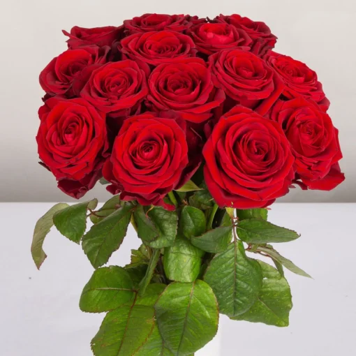 Blumenbund Mit Rosen 'Red Naomi', 15er-Bund, Rot, Inkl. Gratis Grußkarte -Gartenmöbelgeschäft 1045500003 Rose Red Naomi 15er Bund 60cm 2 1 d 100188