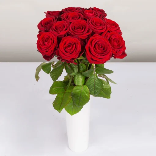 Blumenbund Mit Rosen 'Red Naomi', 15er-Bund, Rot, Inkl. Gratis Grußkarte -Gartenmöbelgeschäft 1045500003 Rose Red Naomi 15er Bund 60cm 2 85335