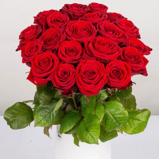 Blumenbund Mit Rosen 'Red Naomi', 20er-Bund, Rot, Inkl. Gratis Grußkarte -Gartenmöbelgeschäft 1045500004 Rose Red Naomi 20er Bund 60cm 2 1 d 100189