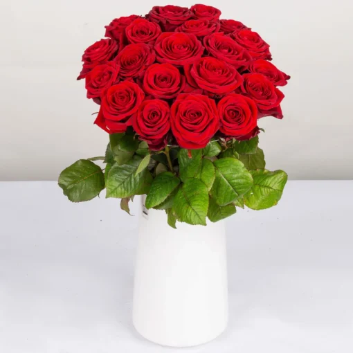 Blumenbund Mit Rosen 'Red Naomi', 20er-Bund, Rot, Inkl. Gratis Grußkarte -Gartenmöbelgeschäft 1045500004 Rose Red Naomi 20er Bund 60cm 2 85337