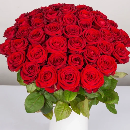 Blumenbund Mit Rosen 'Red Naomi', 50er-Bund, Rot, Inkl. Gratis Grußkarte -Gartenmöbelgeschäft 1045500006 Rose Red Naomi 50er Bund 60cm 1 1 d 100191