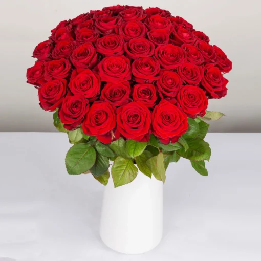 Blumenbund Mit Rosen 'Red Naomi', 50er-Bund, Rot, Inkl. Gratis Grußkarte -Gartenmöbelgeschäft 1045500006 Rose Red Naomi 50er Bund 60cm 1 85341