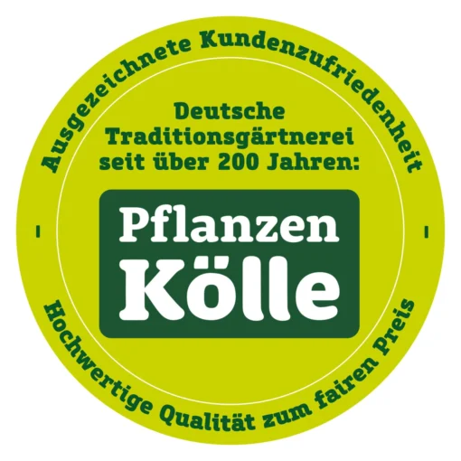 Kölle Bio Zwergbirne 'Garden Surprise'®, Topf 7,5 Liter -Gartenmöbelgeschäft qualitaetssiegel pflanzen koelle 3000x3000 70847 109