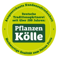 Kölle Bio Zwergapfel 'PidiⓈ' Im Topf 7,5 Liter -Gartenmöbelgeschäft qualitaetssiegel pflanzen koelle 3000x3000 70847 49